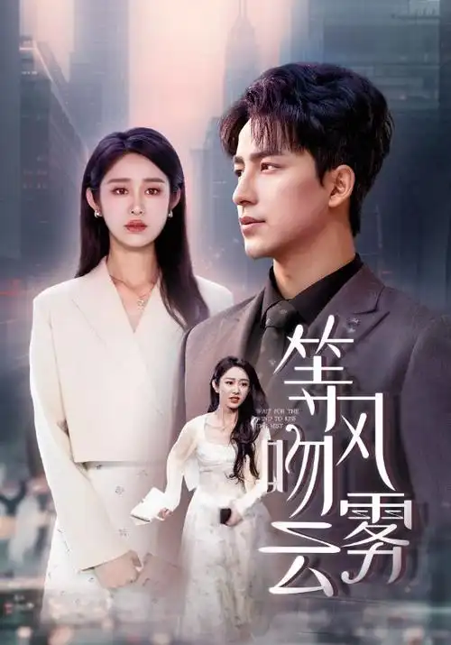 雾港迷局热播电视剧全集